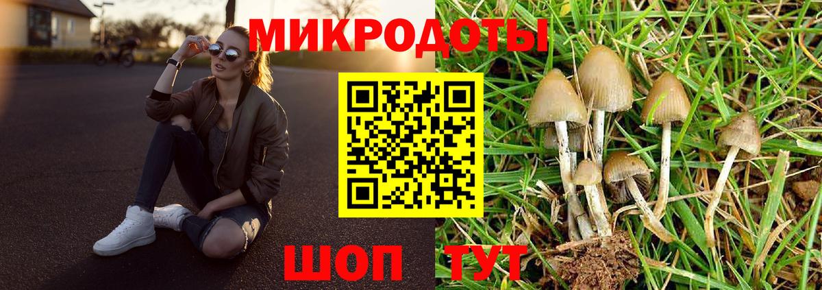 Галлюциногенные грибы Cubensis Карабулак
