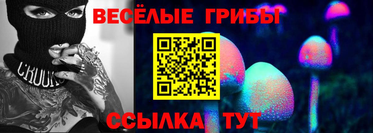 где купить наркоту  Псилоцибиновые грибы Psilocybe  Вход с VPN  Карабулак 